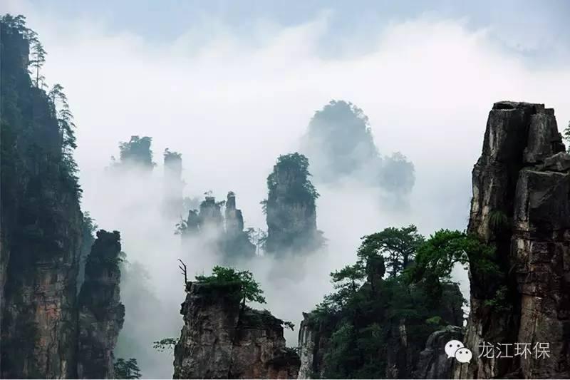 张家界大坪镇最新规划，塑造未来旅游胜地的蓝图