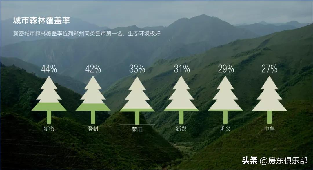 新密交通事故最新新闻，事故背后的深度分析与反思