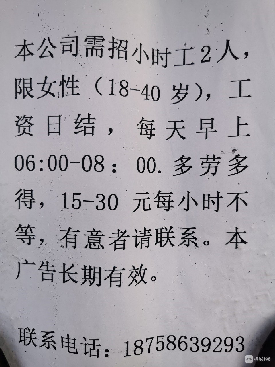 淄川招聘网最新招聘信息概览