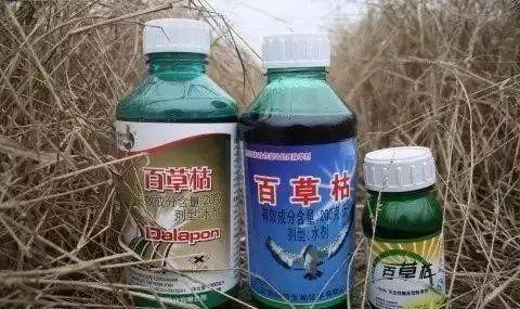 最新百草枯胶剂价格动态分析