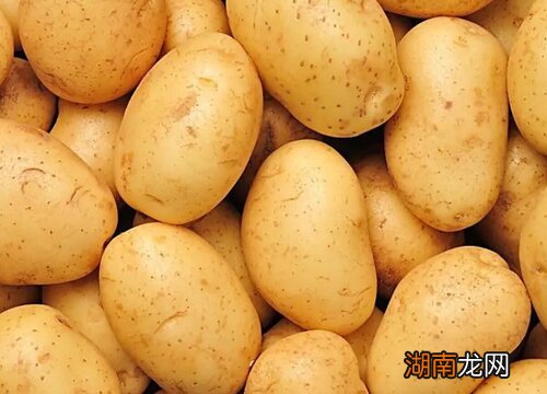 最新土豆批发价格走势分析